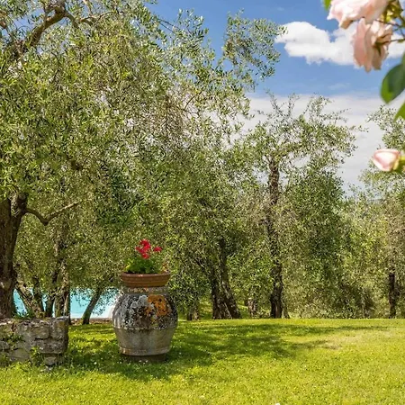 Elegant Florence Villa, Panoramic View And Pool